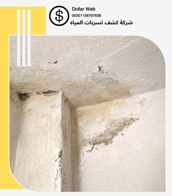 كشف تسربات مياه الدريهمية