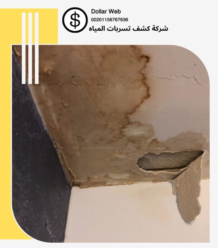 كشف تسربات مياه الرواد