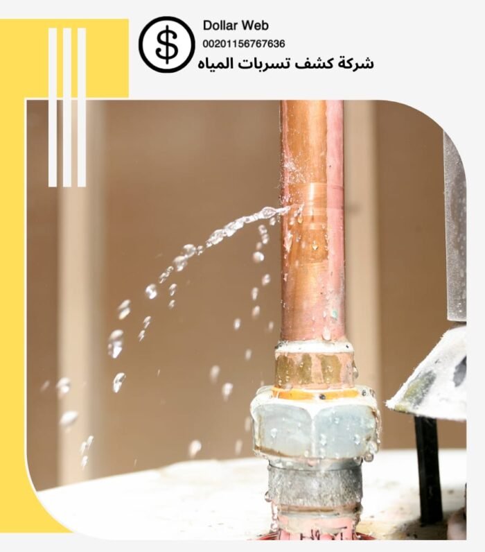 كشف تسريبات حي حطين بالرياض