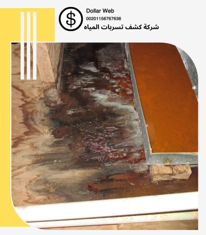 كشف تسربات الإزدهار بالرياض