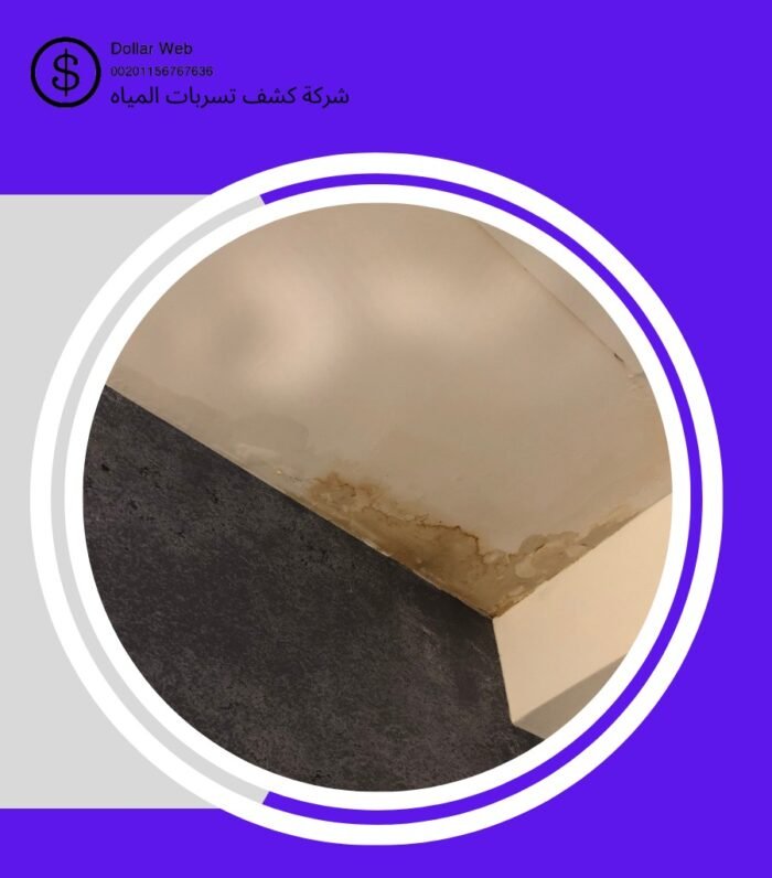 كشف تسربات مياه المنصورة