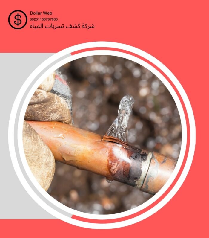 كشف تسربات مياه العقيق