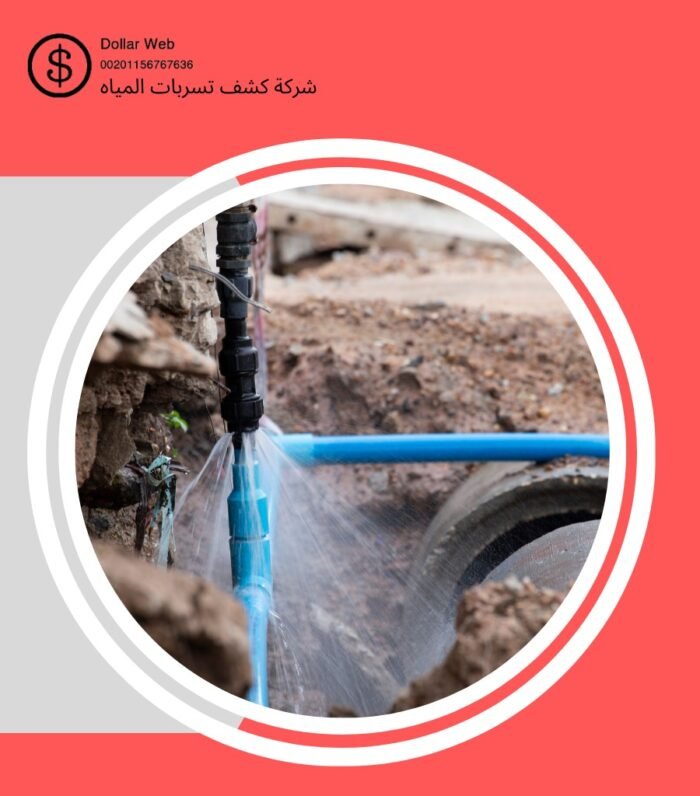 كشف تسربات مياه الرائد