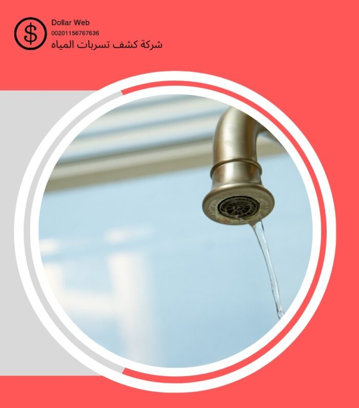 كشف تسربات مياه الورود