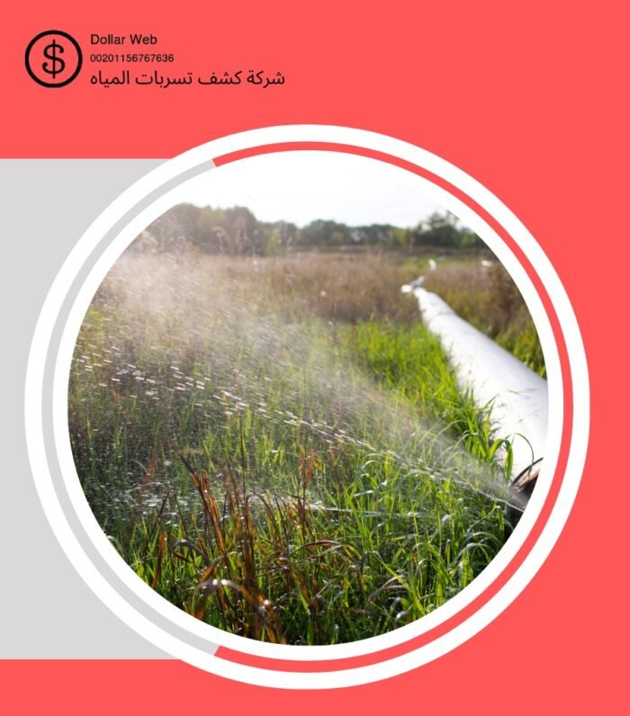 كشف تسربات مياه النخيل