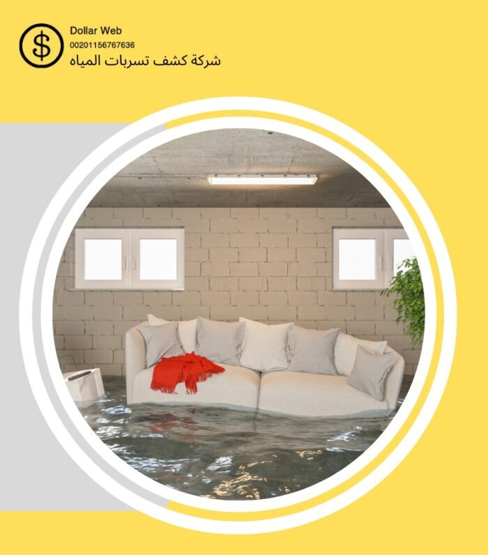 كشف تسربات مياه الملقا