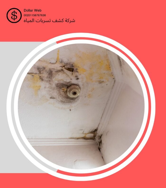 كشف تسربات مياه العليا