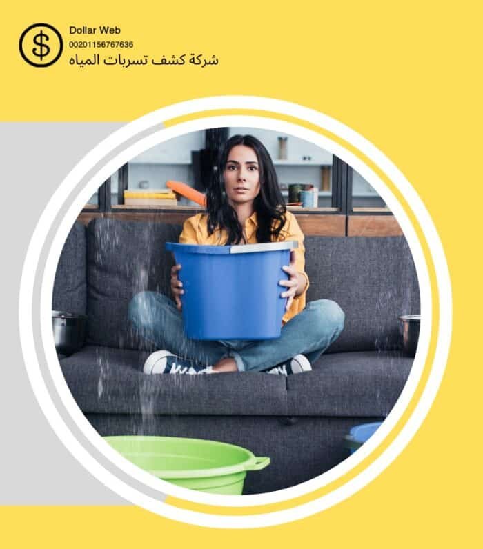 كشف تسربات مياه عرقة