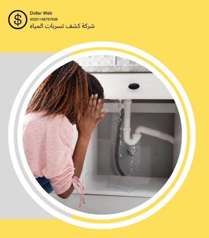 كشف تسربات مياه السلي
