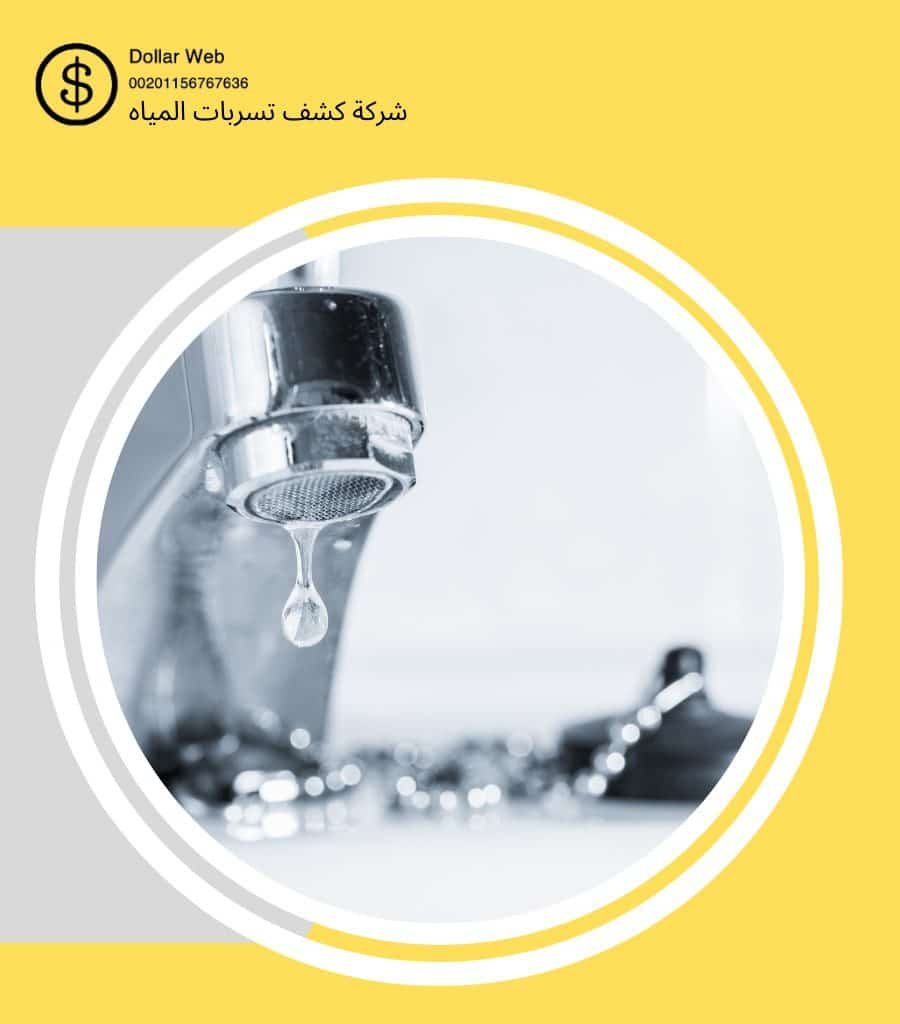 كشف تسربات مياه النظيم