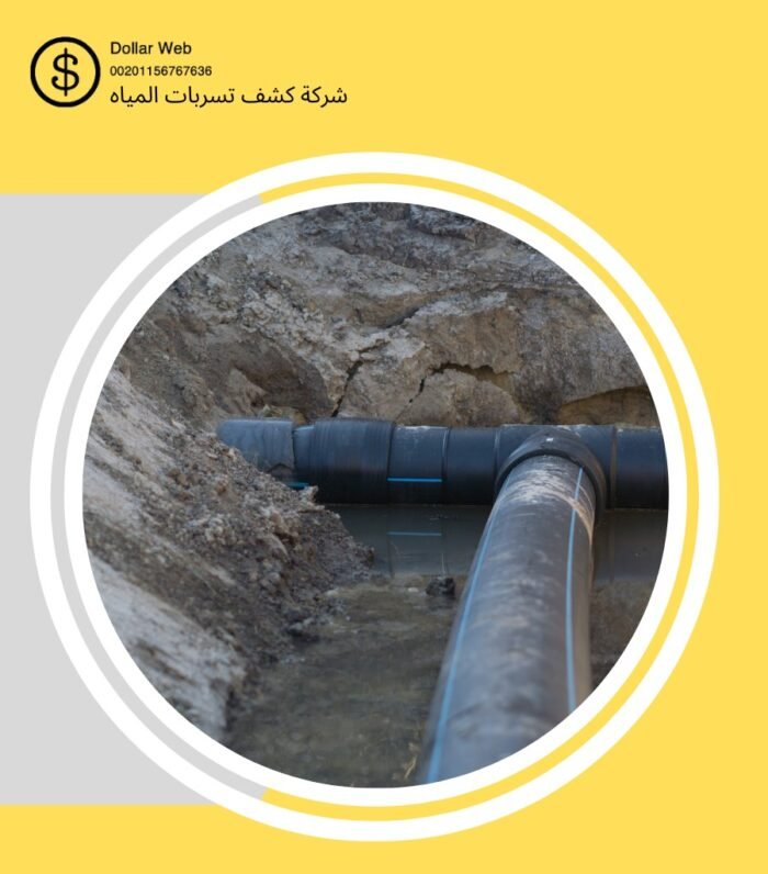 كشف تسربات مياه الروضة