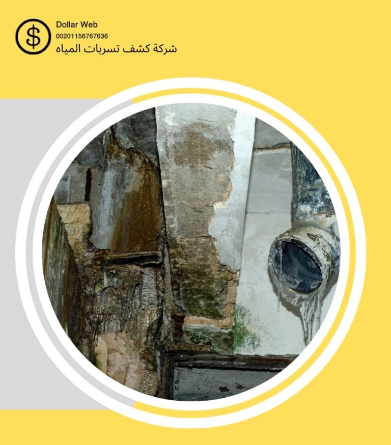 كشف تسربات مياه الفاخرية