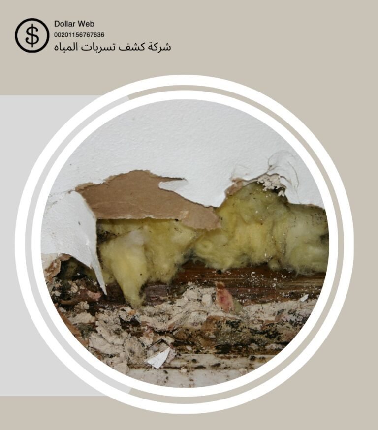 كشف تسربات مياه المربع