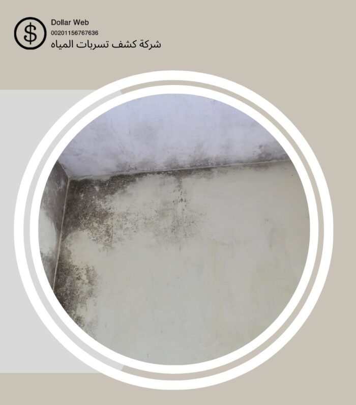 كشف التسربات حي إشبيليا